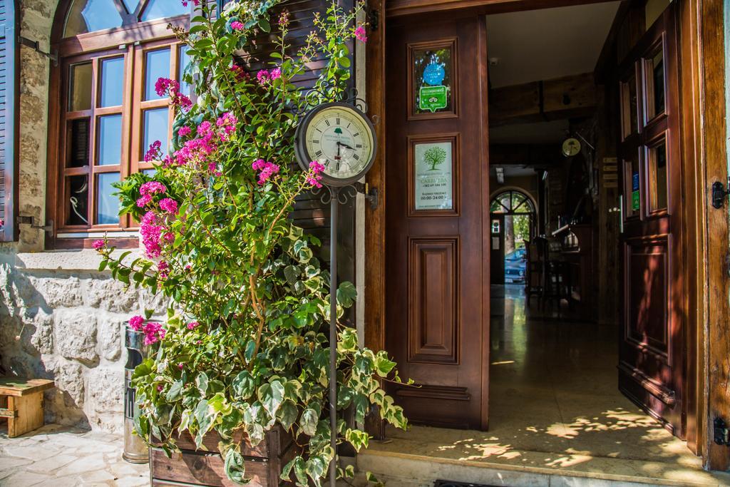 Hotel Carrubba Donja Lastva Kültér fotó